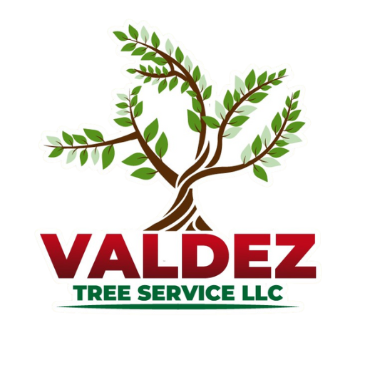 Untitled design (51)